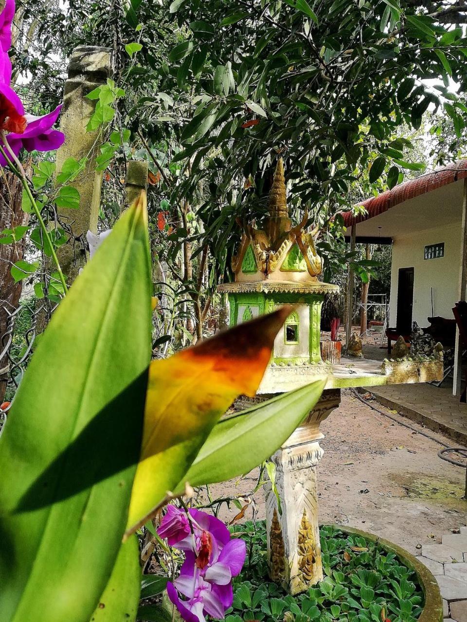 La Maison Des Bambous Siem Reap Eksteriør bilde